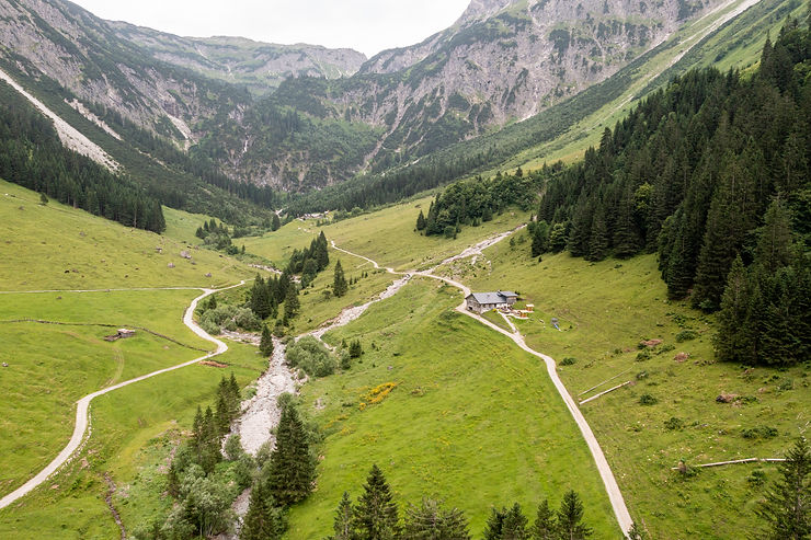 Grüne Bergwiese mit mehreren Wegen, einzelnen Bäumen und einem kleinen Haus vor bewaldeten Berghängen
