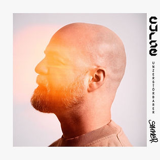 Porträt eines glatzköpfigen Mannes im Profil mit braunem Pullover vor hellem Hintergrund